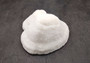 White Bowl Coral Cluster Halomitra Pileus (1 coral approx. 6-7+ inches) Large domed white coral. Copyright 2025 SeaShellSupply.com.