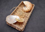 Natural Nautilus Seashell Center Sliced Set Nautilus Pompilius (1 set approx. 4+ inches) Sliced Nautilus shell set for art display & decor!