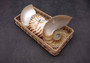 Polished Natural Seashell Left Single Half Nautilus Pompilius (1 shell half approx. 5+ inches) Great for crafting and collections!