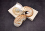 Natural Nautilus Seashell Half Cut Pairs Nautilus Pompilius (1 shell PAIR approx. 4+ inches) Shells for crafting and collections!