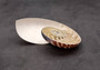Natural Nautilus Seashell Right Cut Single Half Nautilus Pompilius (1 HALF shell approx. 6+ inches) Shells for crafts and collections!