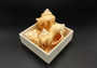 Carved Conch Shell Love Birds (1 shell approx. 3+ inches) Conch shells for coastal crafting display & collecting!