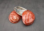 Polished Pearl Red Dyed Abalone Midas Shell Haliotis Midae (1 shell approx. 5+ inches) Red tinted shell for display projects & collecting!