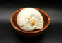 Large Crowned Baler Seashell Tan Voluta Diadema (1 shell approx. 6+ inches) Big Tan Crowned Volute Baler for coastal home décor & display!
