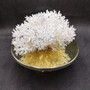 White Lace Coral Large Cluster Pocillopora Damicornis (1 coral approx. 9.5L x 5.5H x 8D inches) Unique Addition to Any Nautical Display!