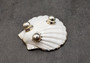 Silver Edged Scallop Seashell Dish Pecten Maximus (1 dish approx. 4.5+ inches) OBLONG PATTERN scallop shell dish for a coastal home! Copyright 2025 SeaShellSupply.com.