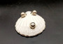 Silver Edged Scallop Seashell Dish Pecten Maximus (1 dish approx. 4.5+ inches) RECTANGLE PATTERN scallop shell dish for a coastal home!