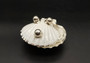 Silver Edged Scallop Seashell Dish Pecten Maximus (1 dish approx. 4.5+ inches) RECTANGLE PATTERN scallop shell dish for a coastal home!
