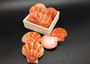 Amber Orange Scallop Seashell Halves Noble Pecten Nobolis (Approx. quarter pound shells 2+ inches) Orange Scallop Shells for arts & crafts!
