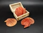 Fire Red Scallop Shell Halves Noble Pecten Nobolis (Approx. quarter pound shells 2+ inches) Red Scallop seashells for arts & crafts!