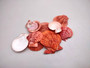 Quarter pound or 4 ounces of Crimson Red Scallop Noble Pectin Halves Pecten Nobolis, red brownish color with a natural pattern. Copyright 2025 SeaShellSupply.com.