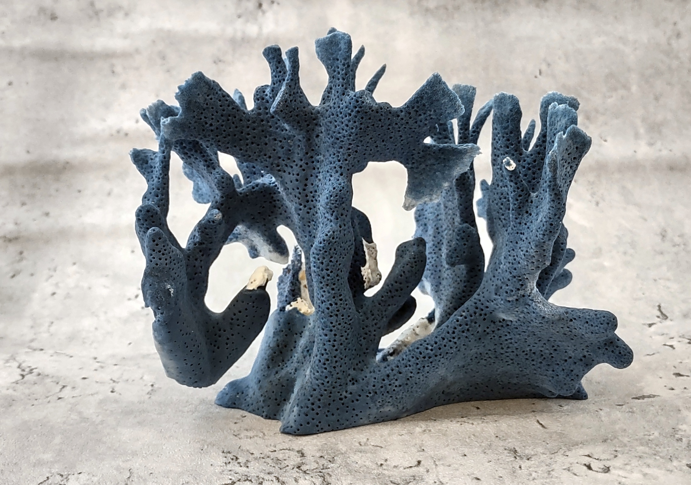Blue Coral Reef Sculpture - Blue