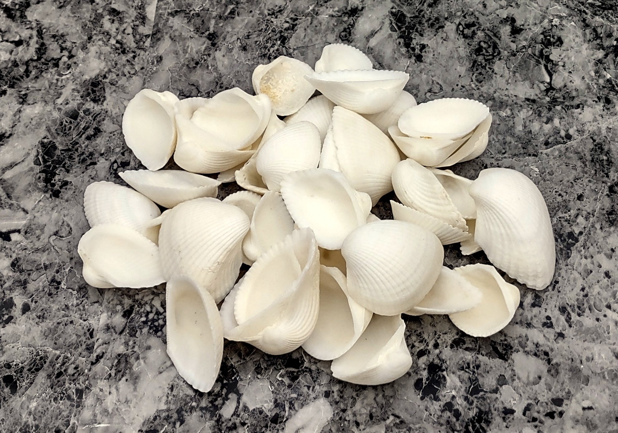 Beach Sea Glass Rounded Blue Green White Assorted Pebbles (approx. 1  Kilogram or 2.2 lbs. 1-1.5 inches) Man Made Tumbled Frosted Glass!