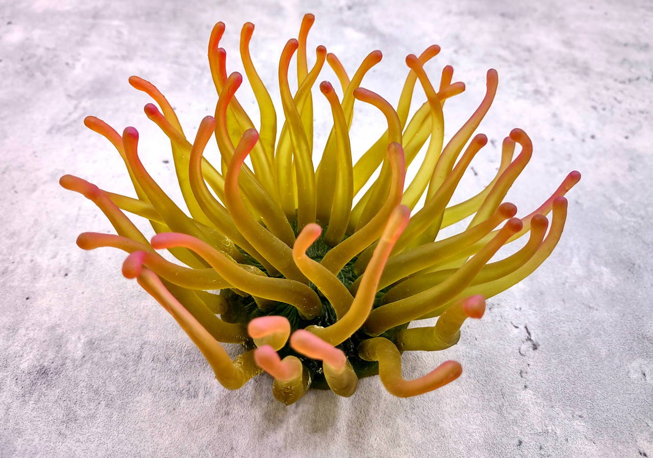 Aqua Orange FAUX Anemone Condylactis Gigantea (1 FAKE Anemone