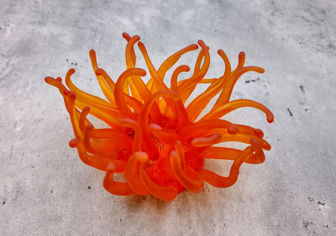 Orange Yellow FAUX Anemone Condylactis Gigantea (1 FAKE Anemone