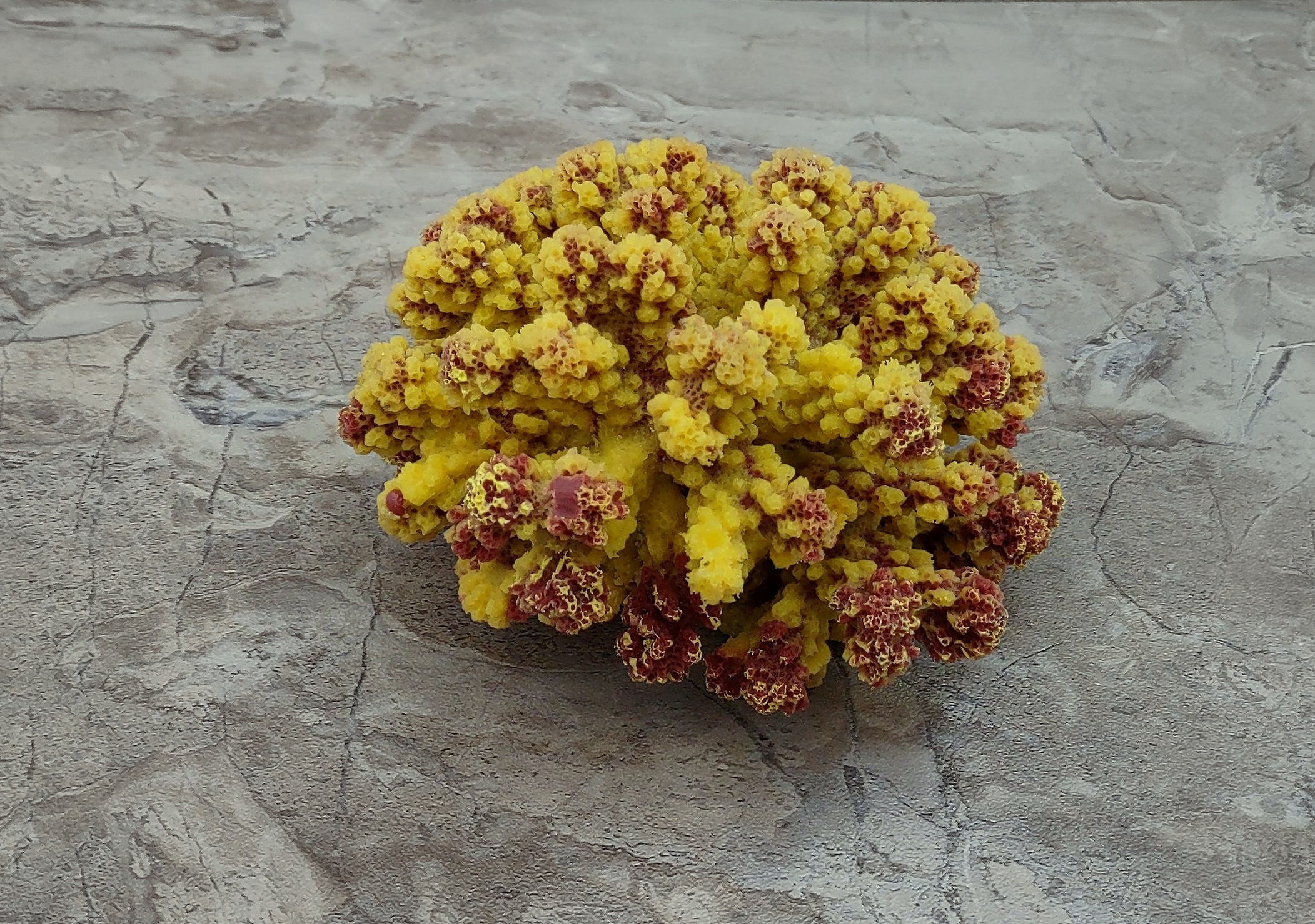 Yellow FAUX Staghorn Coral - Acropora Austera - (1 FAKE Coral approx.  10Tx7Wx4D inches)