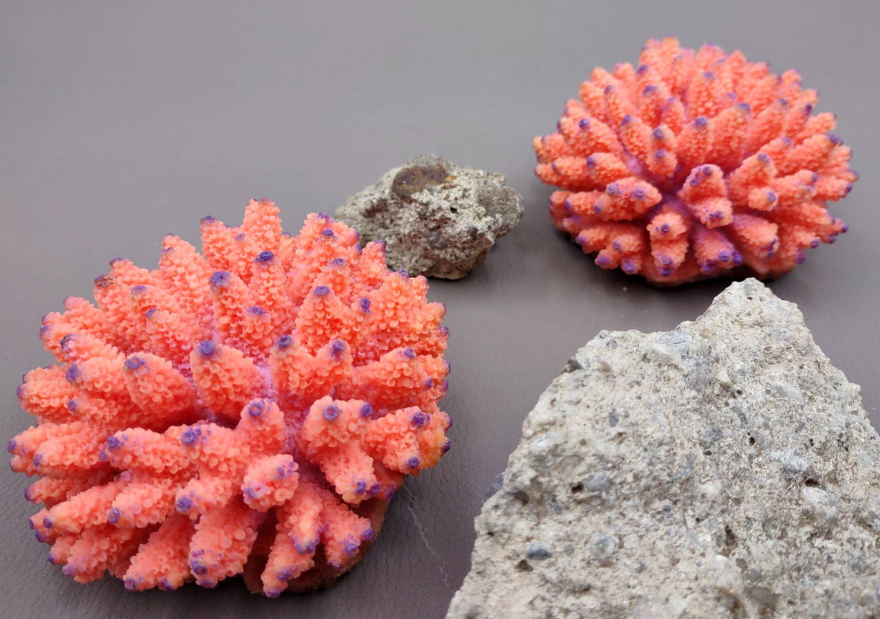 Orange FAUX Finger Coral Acropora Nasuta (1 FAKE Coral approx