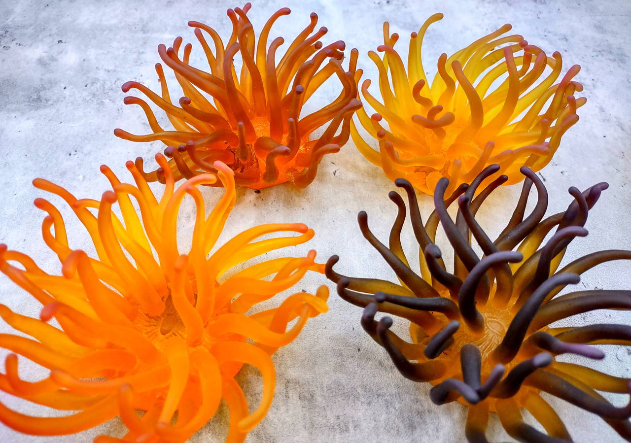 Yellow FAUX Anemone Condylactis Gigantea (1 FAKE Anemone approx