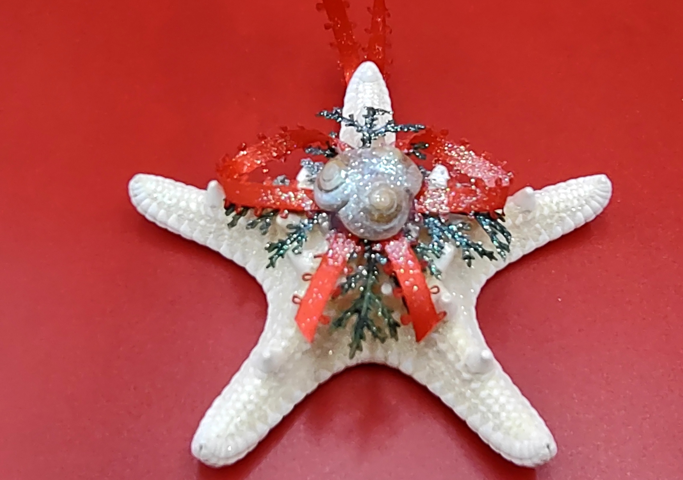 White Starfish Christmas Tree Coastal Ornament (1 Sea Star approx. 4-5  inches)