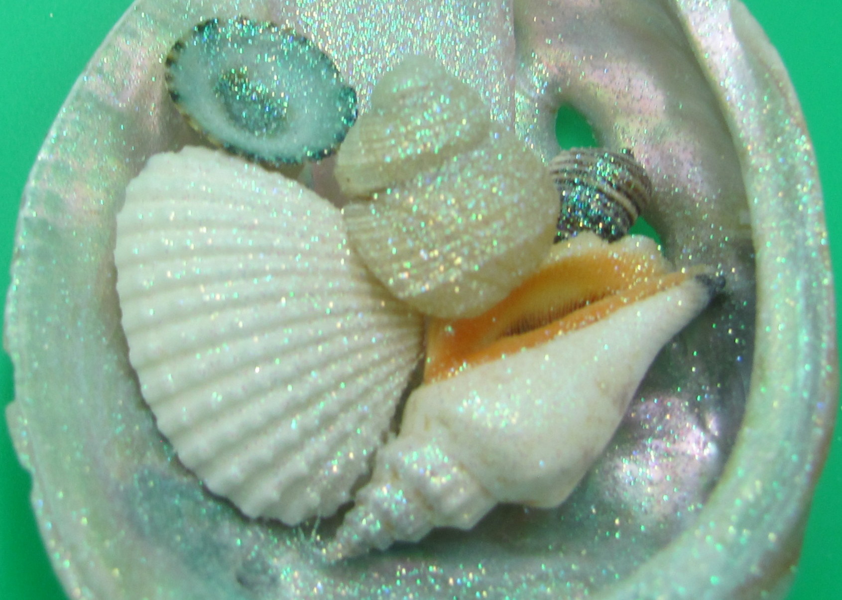 Abalone Frosted Sea Glass Ornament (1 star approx. 3-4 inches)