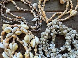 Shell Gold Making A Step-by-Step Guide to Making Seashell Jewelry - Sea Shell Supply