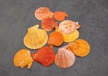 bb5c5171-401a-4248-92b1-