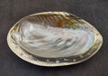 Silver-Plated Footed Cabebe Clam - Pilsbryochonchaetilis - (1 shell approx. 7 inches) One silver plated clam shell dish with silver feet. Copyright 2024 SeaShellSupply.com