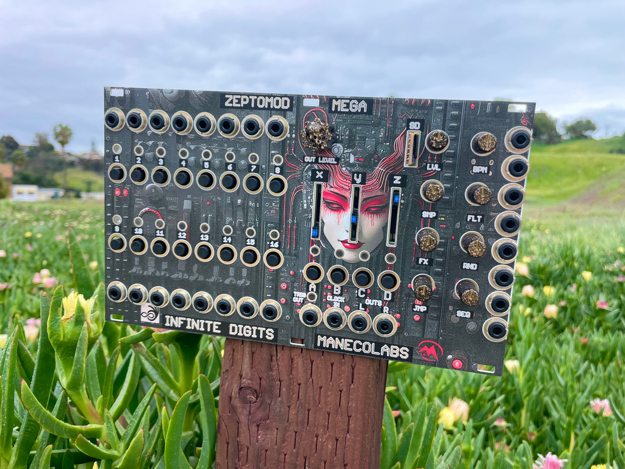 Infinite Digits x Maneco Labs ZEPTOMOD MEGA Eurorack - Boutique