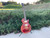 2006 Les Paul Standard Plus Wine Red Flame Top