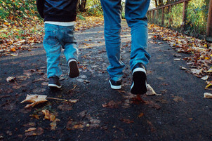 Affordable Premium RSN Options