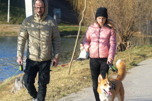 Joint Support By Premium