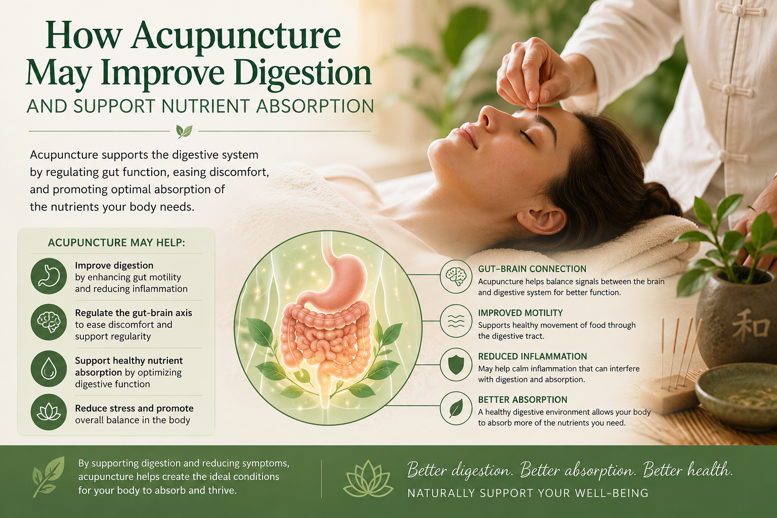 How Acupuncture May Improve Digestion and Support Nutrient Absorption