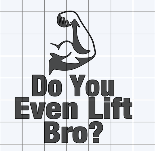 Do you even lift bro