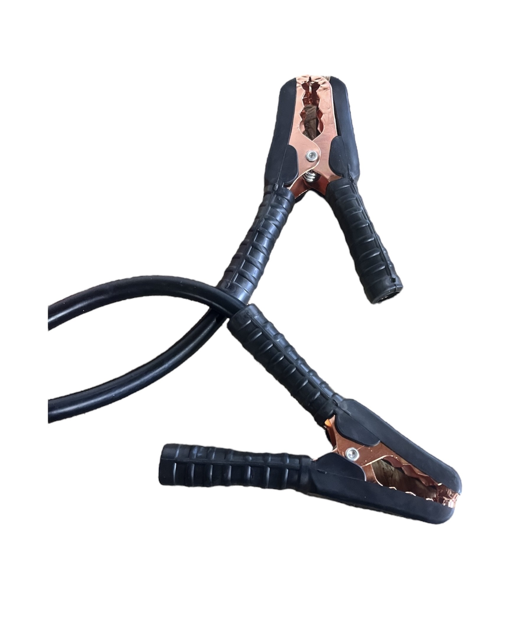 thumbnail_Photoroom_20240822_1