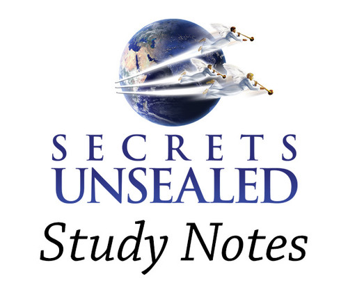 Study Notes Bundles