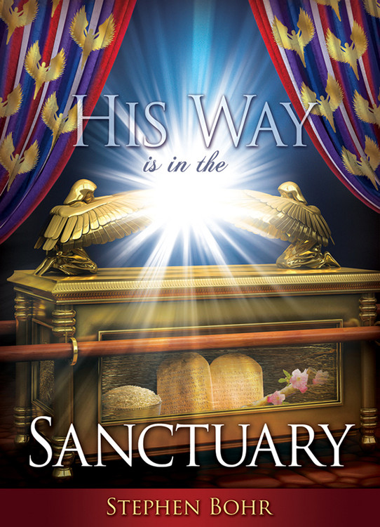 His Way Is In The Sanctuary #28 MP3D - Digital Download