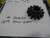 300050 Gear New OEM