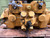 CAT 191-9617 Hydraulic Drive Pump