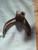 International 194982A1,   401695R2. 1st & 2nd shift fork
