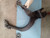 John Deere R47826 load control arm