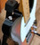 Fender Player Plus Telecaster & Fender soft case