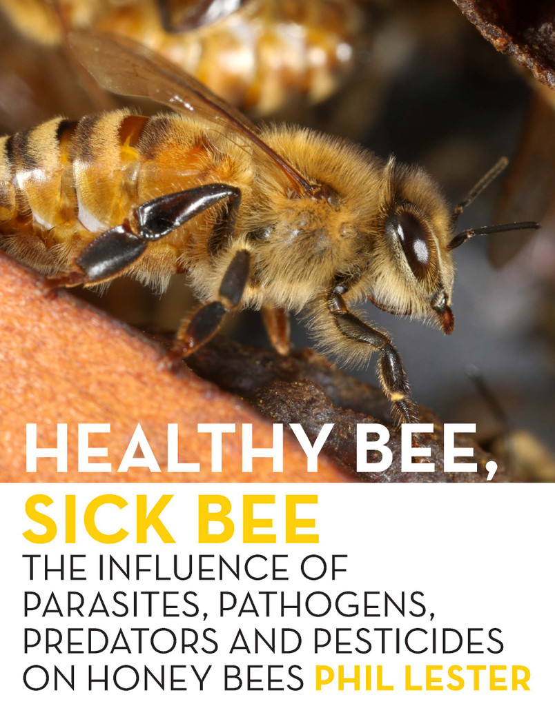 Healthy Bee, Sick Bee: The Influence of Parasites, Pathogens, Predators and Pesticides on Honey Bees