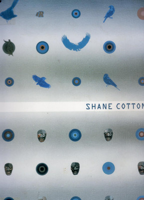 Shane Cotton