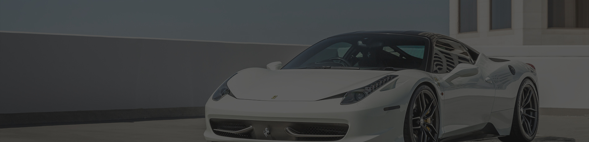 cat-banner-01.jpg