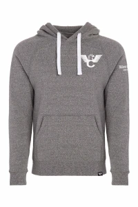 HOODIE, PULLOVER, LOGO, GRAY