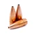 .204 diameter, 30 grain Controlled Chaos Bullets (50 count)