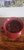 Handcrafted Soup & Tea Mugs (Various)