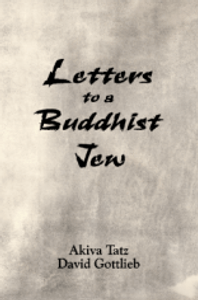 Letters to a Buddhist Jew Letters to a Buddhist Jew
