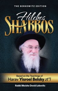 Hilchos Shabbos - based on teachings of Rav Yisroel Belsky Hilchos Shabbos - based on teachings of Rav Yisroel Belsky