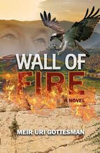 Wall of fire Wall of fire